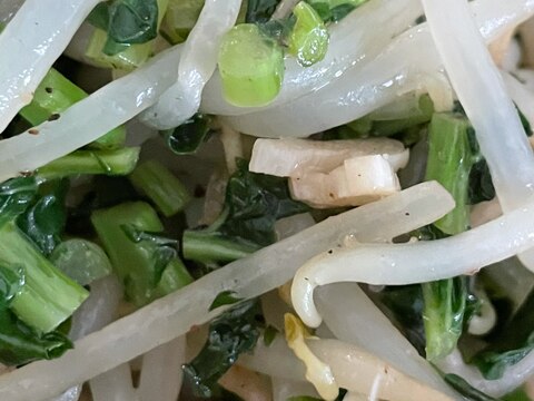 歯応え好きさんにおススメ 大根の葉ともやし炒め